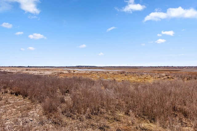 view of local wilderness