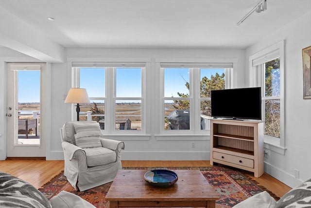 living area featuring track lighting, baseboards, and wood finished floors