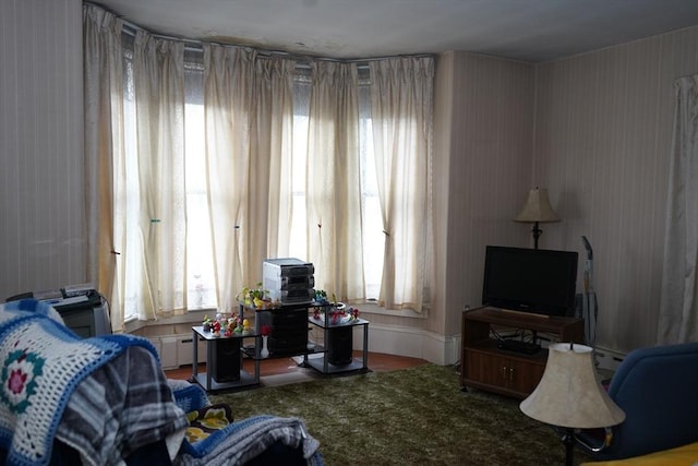 living area featuring a baseboard heating unit and carpet flooring