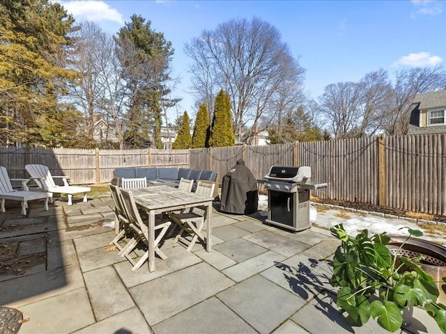 view of patio / terrace with outdoor dining space, a fenced backyard, and grilling area