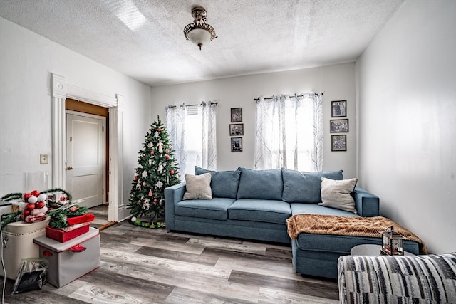 living room with wood-type flooring and a textured ceiling