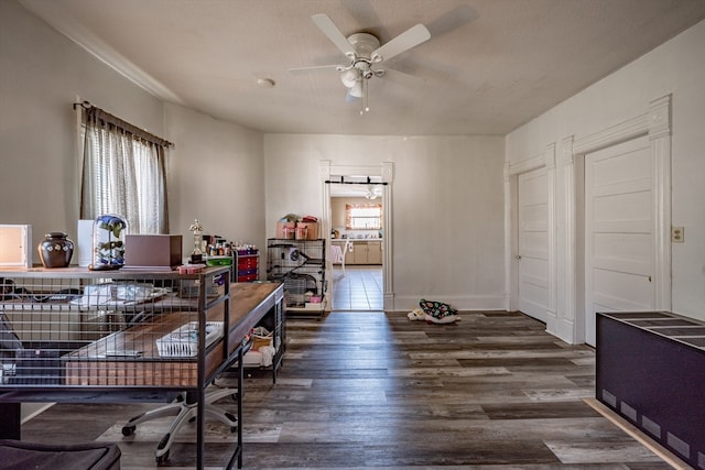 dining room featuring dark wood-type flooring, ceiling fan, and a healthy amount of sunlight