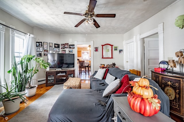 living room with wood-type flooring, ceiling fan, and a baseboard heating unit