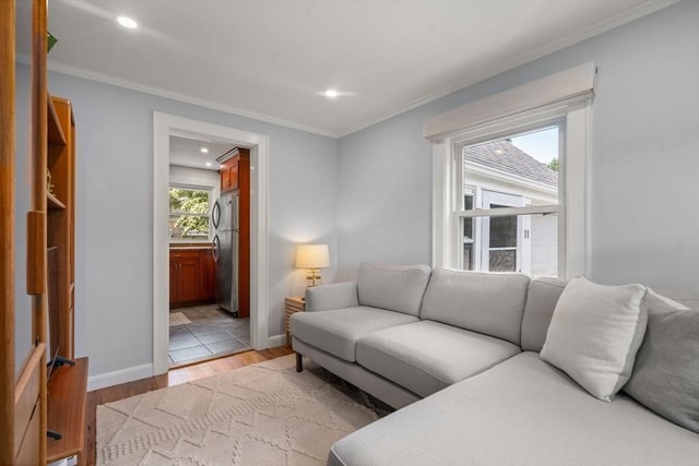 11 Netta Rd, Dedham, MA 02026 - living area with light wood-type flooring, recessed lighting, ornamental molding, and baseboards