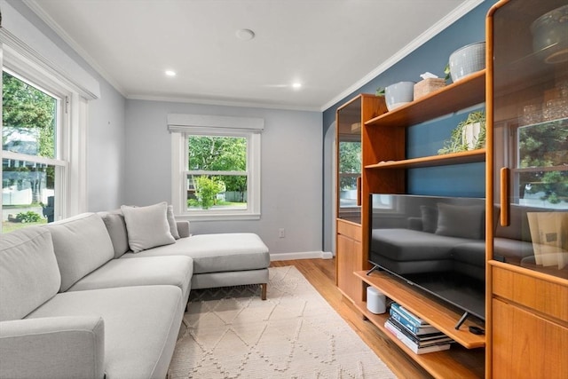 11 Netta Rd, Dedham, MA 02026 - living room with light wood-style floors, plenty of natural light, baseboards, ornamental molding, and recessed lighting