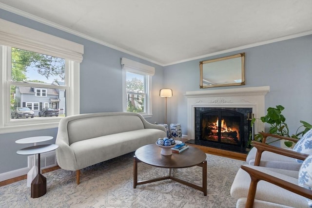 11 Netta Rd, Dedham, MA 02026 - living room with wood finished floors, a high end fireplace, ornamental molding, and baseboards
