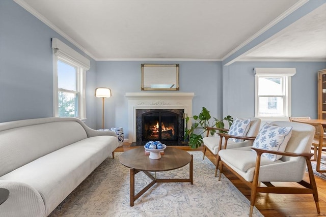 11 Netta Rd, Dedham, MA 02026 - living room featuring crown molding, a premium fireplace, and wood finished floors