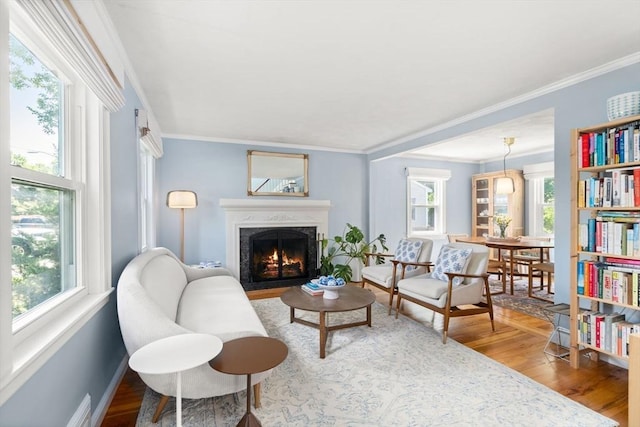11 Netta Rd, Dedham, MA 02026 - living room featuring wood finished floors, a premium fireplace, crown molding, and baseboard heating