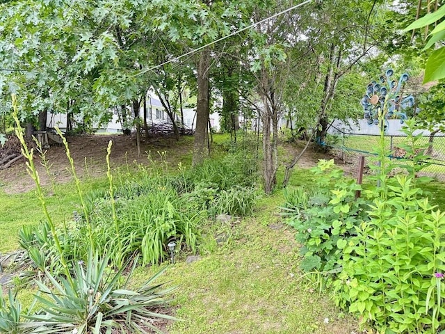 169 Beauchamp Ter, Chicopee, MA 01020 - view of yard