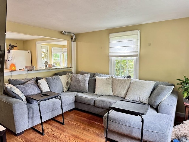 169 Beauchamp Ter, Chicopee, MA 01020 - living room featuring plenty of natural light and wood finished floors
