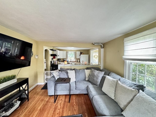 169 Beauchamp Ter, Chicopee, MA 01020 - living room featuring light wood-style flooring and healthy amount of natural light