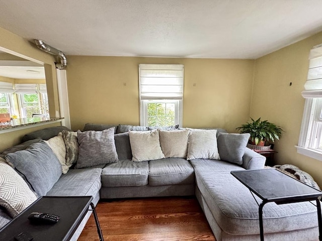 169 Beauchamp Ter, Chicopee, MA 01020 - living room featuring wood finished floors