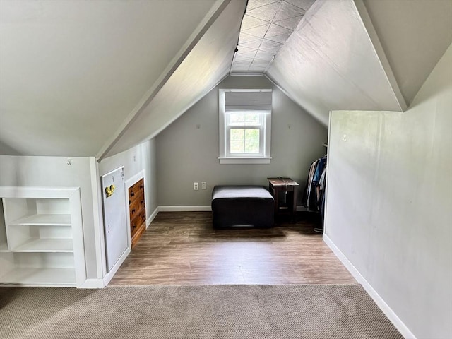 169 Beauchamp Ter, Chicopee, MA 01020 - bonus room with carpet floors, vaulted ceiling, and built in features