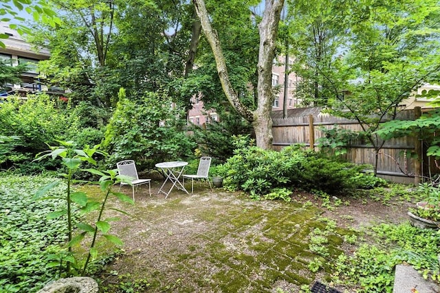 338 Harvard St Unit 1, Cambridge, MA 02139 - view of yard