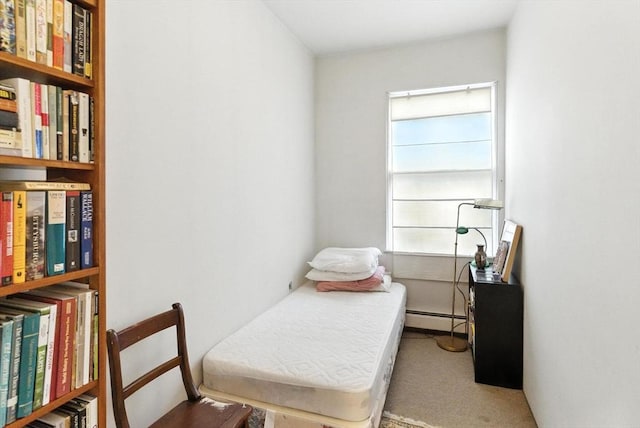 338 Harvard St Unit 1, Cambridge, MA 02139 - sitting room featuring a baseboard heating unit and carpet flooring