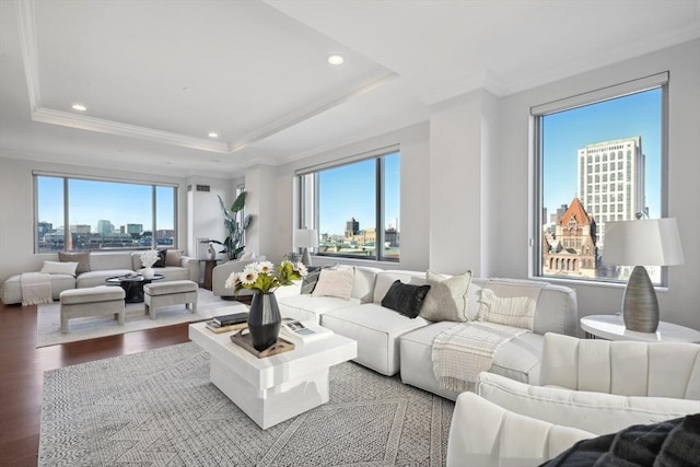 living area with a raised ceiling, a city view, wood finished floors, and crown molding