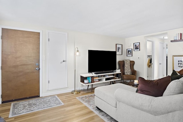 living room with wood-type flooring