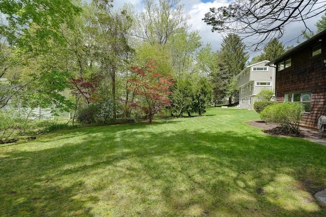 view of green lawn