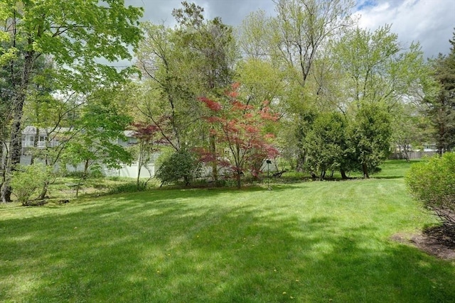 view of grassy yard