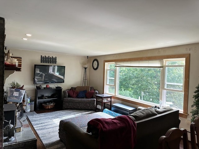 living room featuring wood finished floors