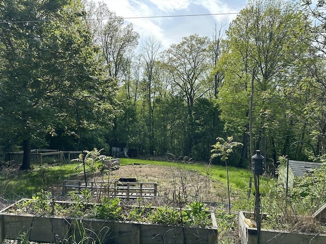 view of yard featuring a garden