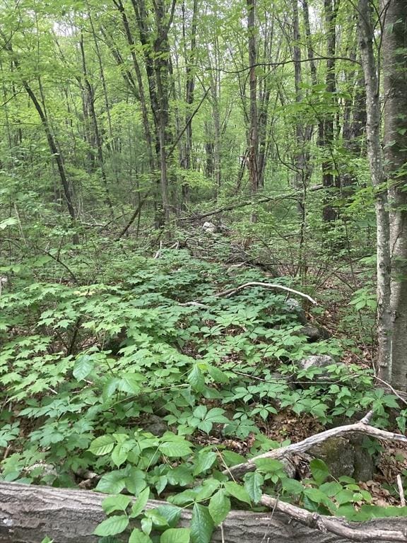 0 W Rd, Westfield, MA 01085