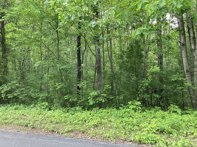 0 W Rd, Westfield, MA 01085