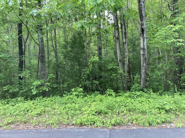 0 W Rd, Westfield, MA 01085