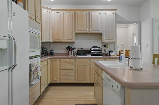 7 Alder Way Unit 7, Bedford, MA 01730 - kitchen featuring light brown cabinetry, white appliances, and light wood finished floors