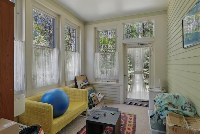 7 Alder Way Unit 7, Bedford, MA 01730 - sunroom / solarium with healthy amount of natural light, carpet floors, and wooden walls