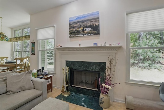 7 Alder Way Unit 7, Bedford, MA 01730 - living area featuring a high end fireplace, wood finished floors, and plenty of natural light