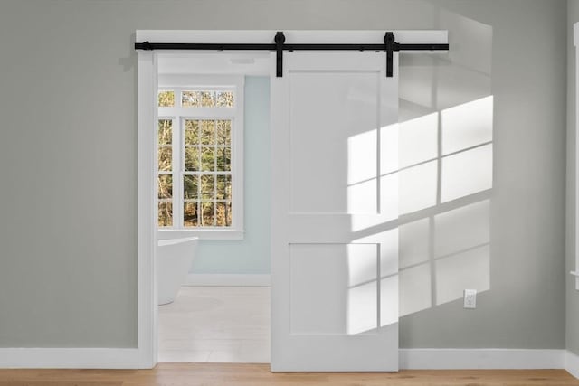 details featuring a barn door and wood-type flooring