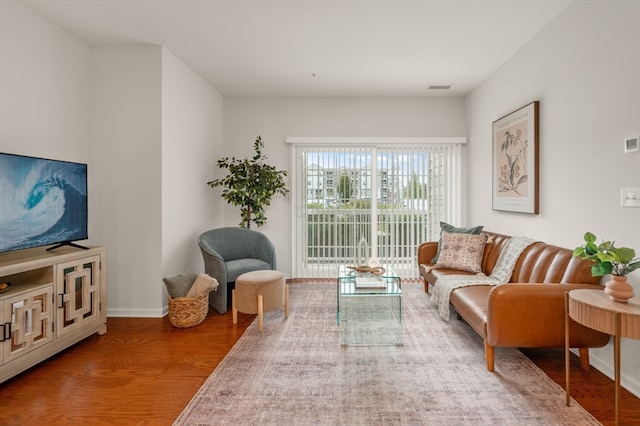 living room featuring wood-type flooring