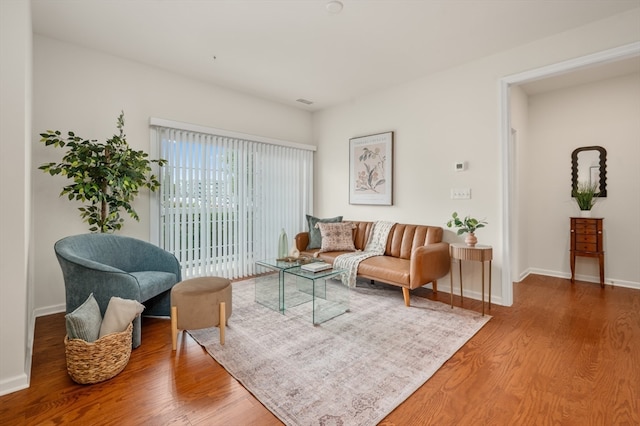 living room with wood-type flooring