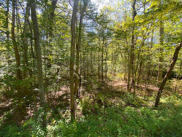 0 State Rd, Erving MA, 01344 land for sale