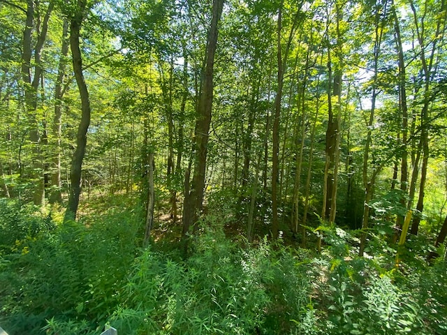 Listing photo 2 for 0 State Rd, Erving MA 01344