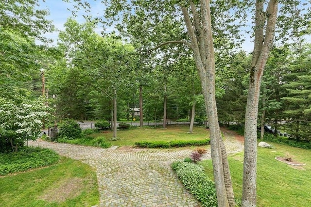 2 Orchard St, Berkley, MA 02779 - view of community with a lawn