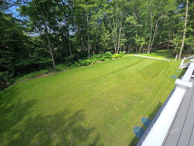 438 Granite St, Worcester, MA 01604 - view of green lawn