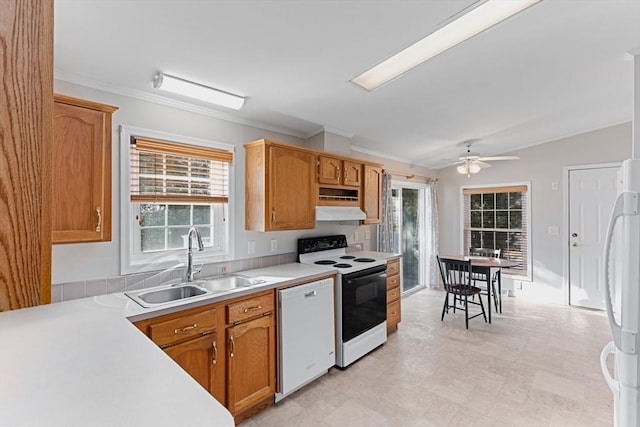 kitchen featuring white appliances, ornamental molding, sink, and a wealth of natural light