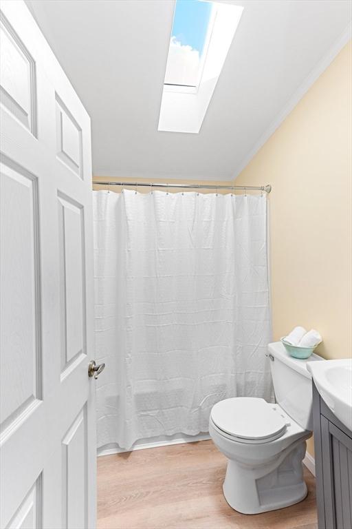 bathroom featuring vanity, a skylight, wood-type flooring, and toilet