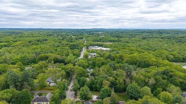 38 Main St, Acton, MA 01720 - drone / aerial view of a forest