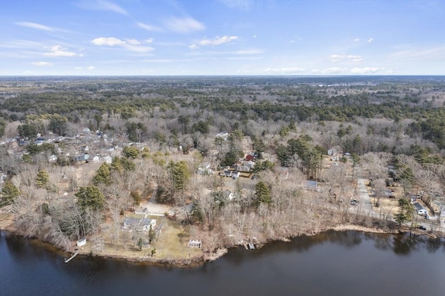 bird's eye view with a view of trees and a water view