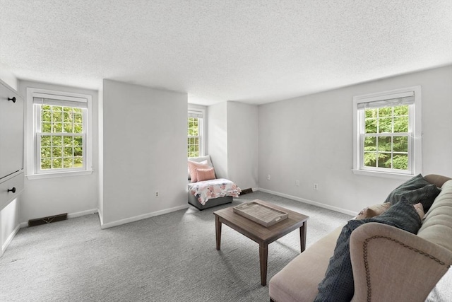 2 Colonial Dr Unit 2, Norton, MA 02766 - living room with healthy amount of natural light, a textured ceiling, and carpet