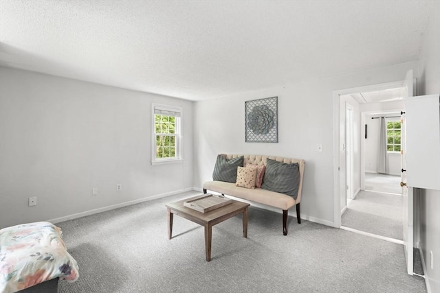 2 Colonial Dr Unit 2, Norton, MA 02766 - living area featuring attic access, carpet floors, plenty of natural light, and a textured ceiling