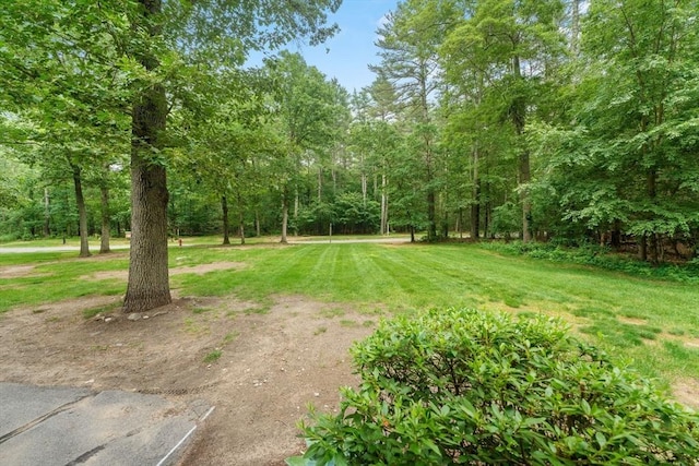 2 Colonial Dr Unit 2, Norton, MA 02766 - view of green lawn featuring a view of trees