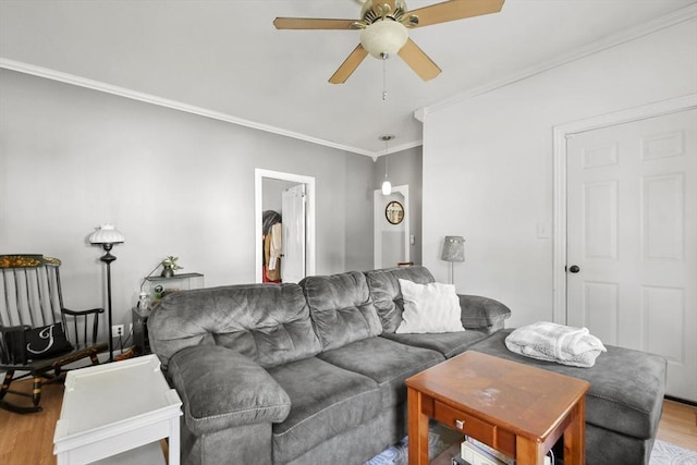 619 Crescent St, Brockton, MA 02302 - living room with wood finished floors, ceiling fan, and crown molding