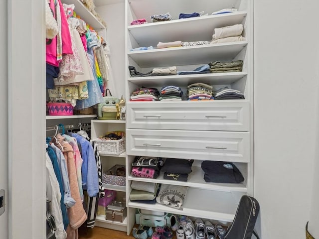 view of closet