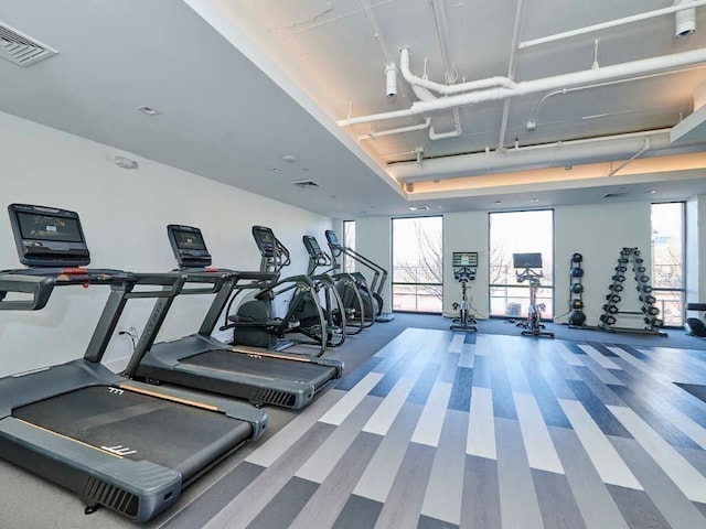 gym with a healthy amount of sunlight and hardwood / wood-style floors