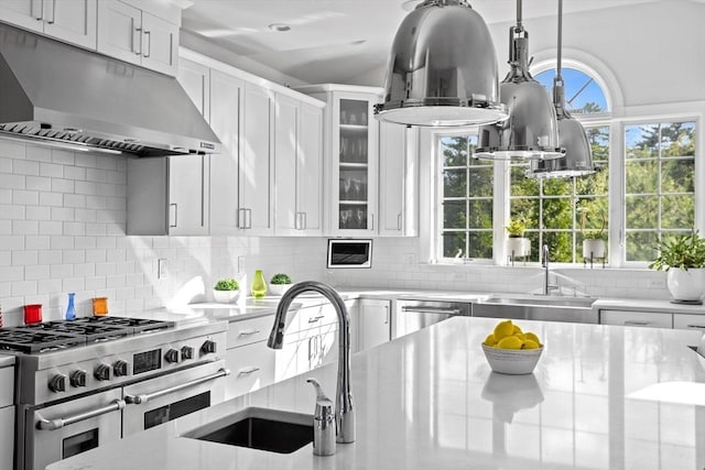 kitchen featuring white cabinets, glass insert cabinets, stainless steel appliances, under cabinet range hood, and a sink