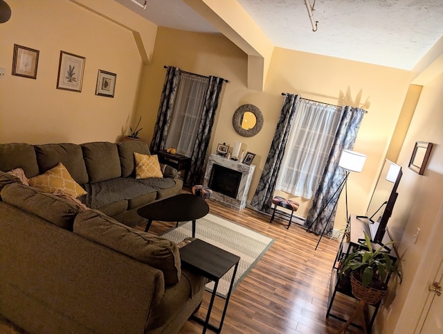 living room featuring lofted ceiling and wood-type flooring